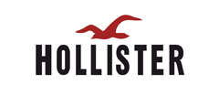 Logo service client Hollister